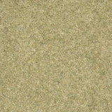 Forest Hills Super Carpet by Cormar