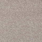 Forest Walk Apollo Plus Carpet - mid