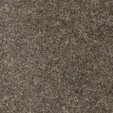 Forest Hills Super Carpet by Cormar