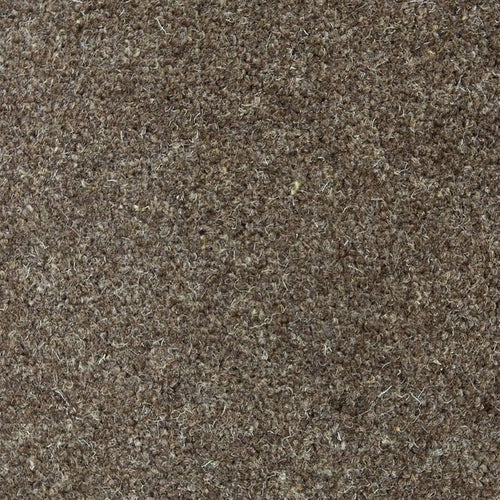 Bran Forest Hills Super Carpet by Cormar