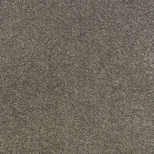 Gallant Grey 970 Sarabi Carpet