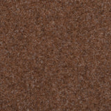 Beige Outdoor Carpet