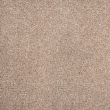 Stainaway Ultra Carpet