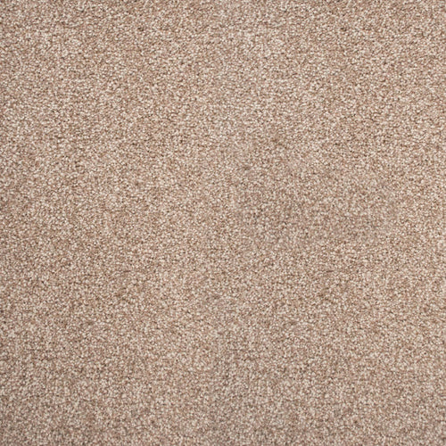 Gentle Fawn 48 Stainaway Ultra Carpet