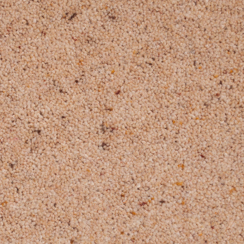 Manilla Glendale Berber Carpet by Cormar