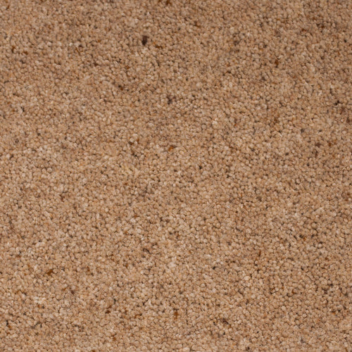 Wild Rice Glendale Berber Carpet by Cormar