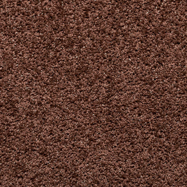 Brown Glossy 'Sparkly' Carpet