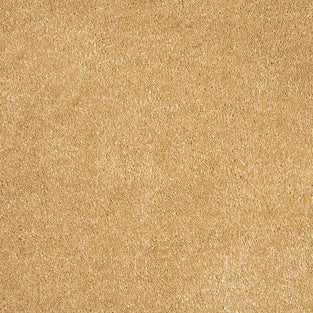 Golden Honey 54 Orion 50oz Invictus Carpet