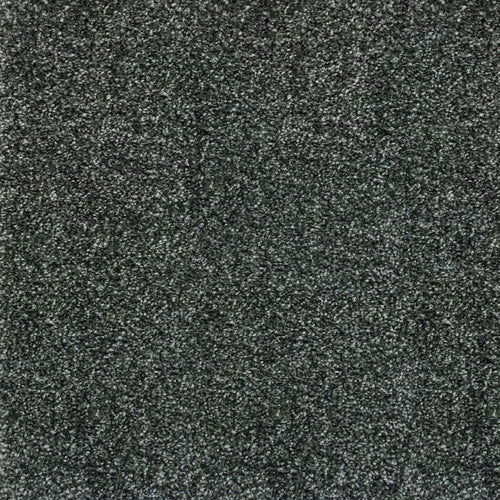 Gothic Grey 970 Noble Saxony Collection Carpet