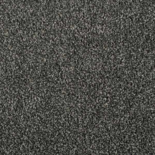 Graphite Oregon Saxony Carpet