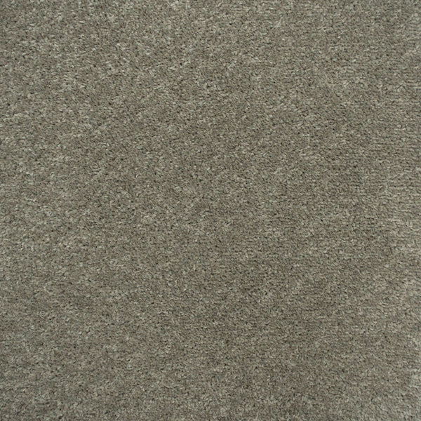 Beige Grey Belton Actionback Twist Carpet