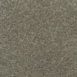 Beige Grey Belton Actionback Twist Carpet