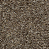 Grey Brown Sweet Home Felt Backed Carpet Mid