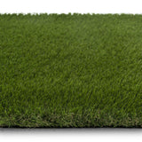 Hampton Artificial Grass