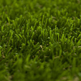 Hampton Artificial Grass