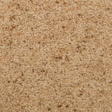 Harvest Natural Berber Twist Deluxe 55oz Carpet by Cormar