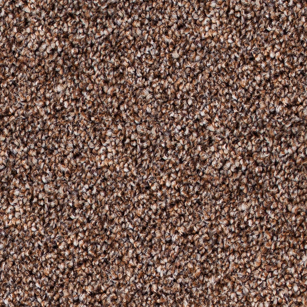 Hedgehog 875 Grand National Carpet