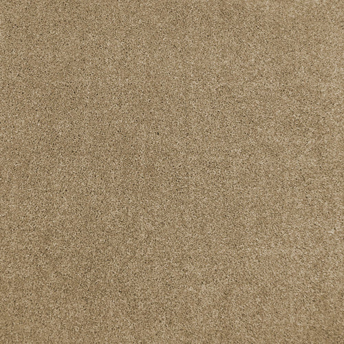 Crystal Cream 31 Hercules Twist Invictus Carpet