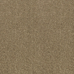 Rock Salt 34 Hercules Twist Invictus Carpet