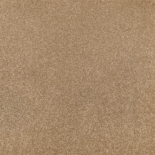 Butter Cream 35 Hercules Twist Invictus Carpet