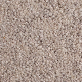 Highland Haze 50oz Home Counties Heathers Carpet by Cormar