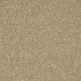 Honey Beige Missouri Saxony Carpet