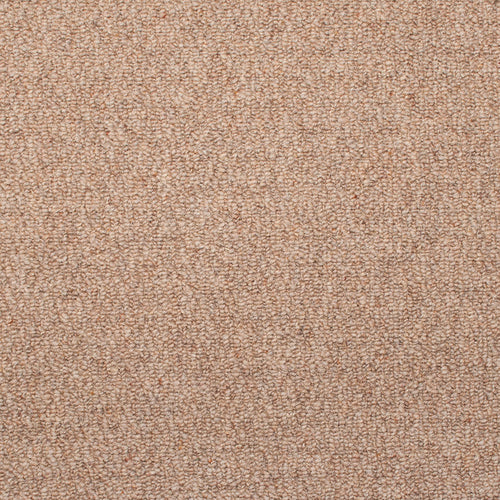 Stainfree Honey Oakland Berber Carpet