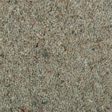 Hunters Moor Natural Berber Twist Deluxe 55oz Carpet by Cormar