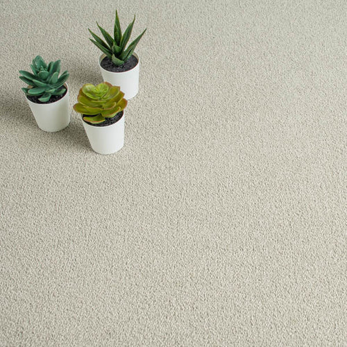 Irish Linen Linwood 40oz Twist Carpet by Cormar