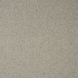 Ivory Cream Illinois Loop Carpet