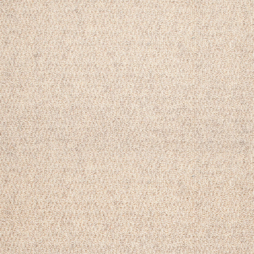 Stainfree Jasmine Oakland Berber Carpet