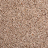 New Forest 38oz Wilton Carpet