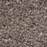 Kirkstone 50oz Home Counties Heathers Carpet by Cormar