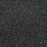 Lamp Black 99 Promenade FusionBac Carpet