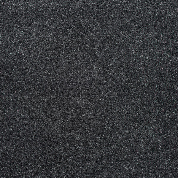 Lamp Black 99 Sophistication Supreme FusionBac Carpet