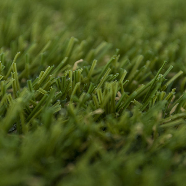 Manhattan Beach Artificial Grass