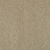 Cornsilk 12 Lasting Romance Love Story Carpet by Abingdon