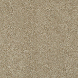 Cornsilk 12 Lasting Romance Love Story Carpet by Abingdon