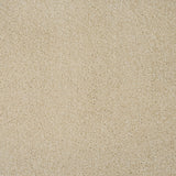 Latte 36 Orion 50oz Invictus Carpet