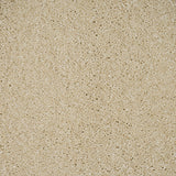 Latte 36 Orion 50oz Invictus Carpet