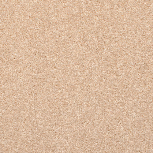 Light Beige 70 Revolution Carpet