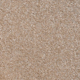 Charm Saxony Carpet