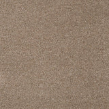 Light Brown 194 Revolution Carpet