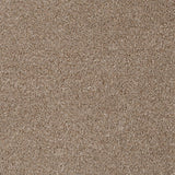 Light Brown 194 Revolution Carpet