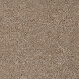 Light Brown 194 Revolution Carpet