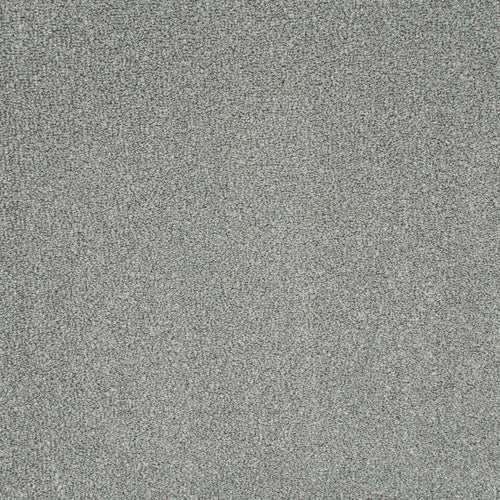 Light Grey Indiana Saxony Carpet