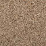 Loam Wharfdale Twist 40oz Carpet