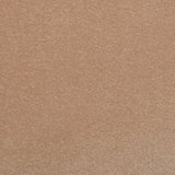 Belton Actionback Twist Carpet