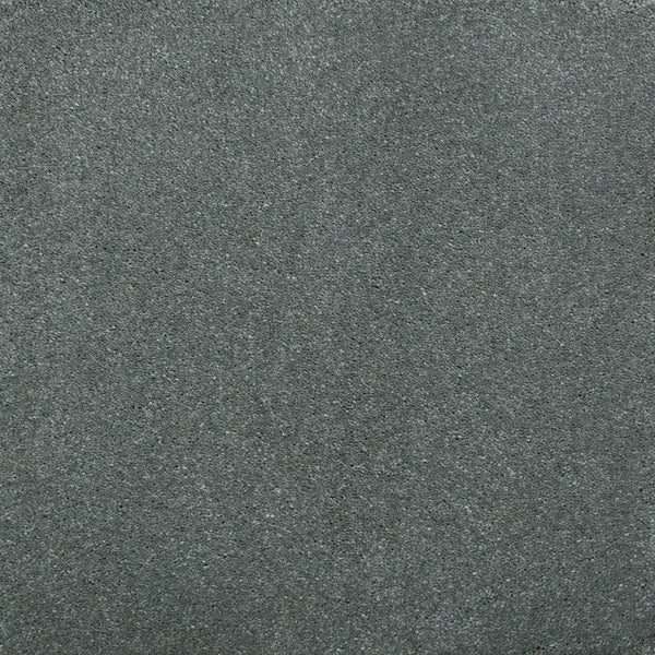 Slate 95 Magnificus Invictus Supreme Carpet