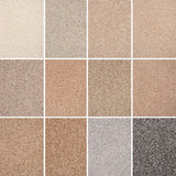 Stainaway Ultra Carpet